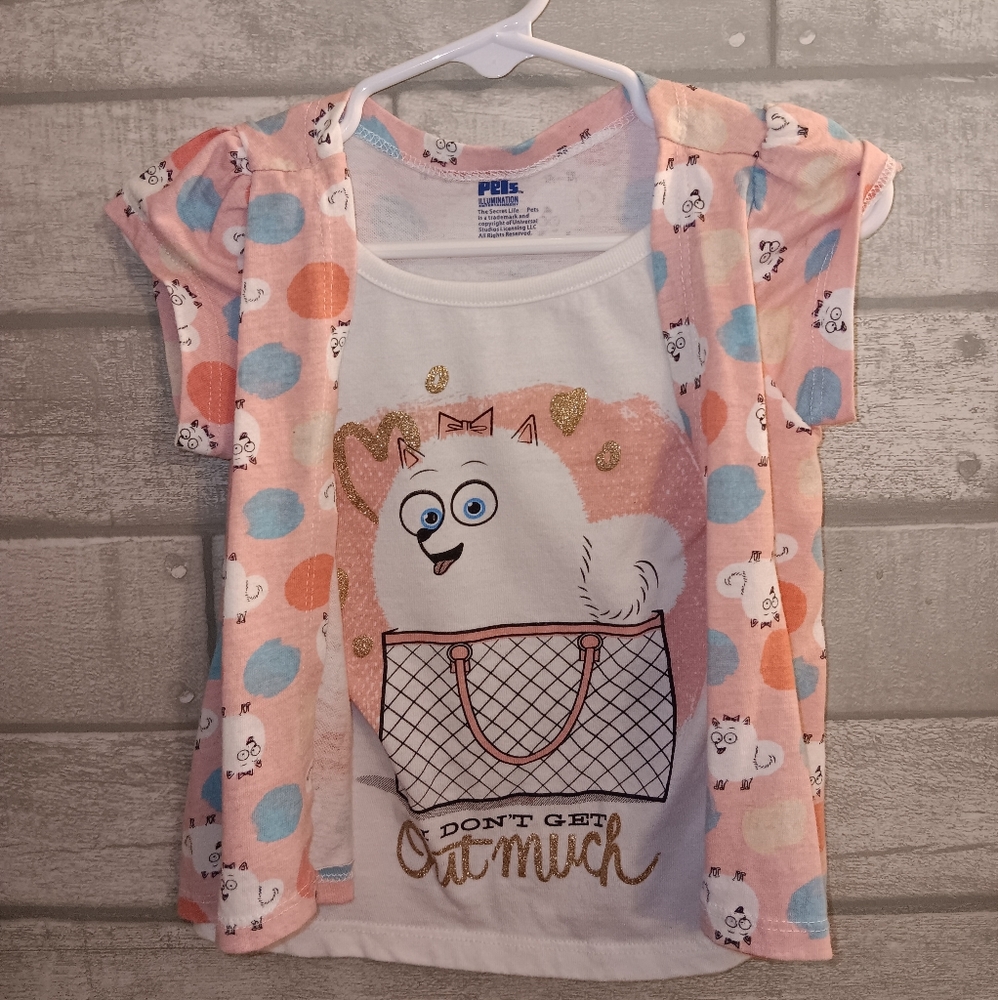 Toddler shirts Pets and Disney